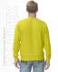 601015-02-small